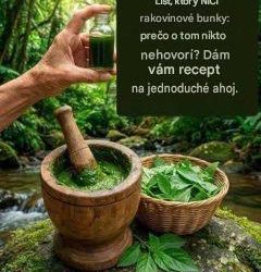 Uistite sa, že ste vylúčili cukrovku, rakovinu, problémy s pečeňou, poruchy krvného obehu a poruchy vysokého krvného tlaku, ktoré sú spôsobené liekmi. Toto je jednoduchý súhlas.