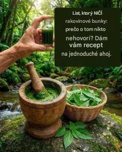 Uistite sa, že ste vylúčili cukrovku, rakovinu, problémy s pečeňou, poruchy krvného obehu a poruchy vysokého krvného tlaku, ktoré sú spôsobené liekmi. Toto je jednoduchý súhlas.