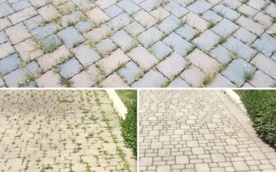 Ako Sa Zbaviť Buriny Prirodzene a Navždy