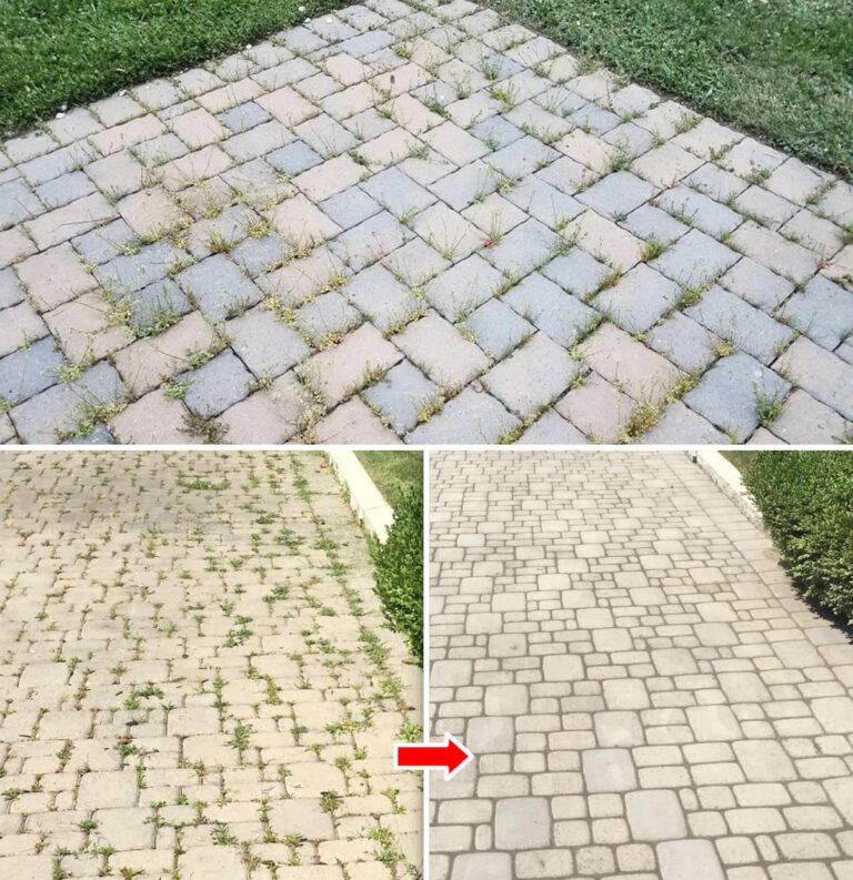 Ako Sa Zbaviť Buriny Prirodzene a Navždy