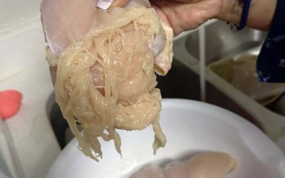 Toto znepokojujúce mäso, ktoré sa pri varení rozpadá: ohromujúce odhalenie
