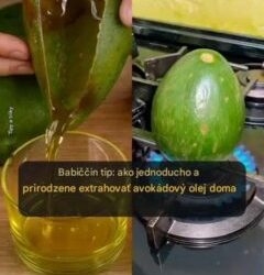 Vytvorte si vlastný avokádový olej: ekologický a ekonomický recept