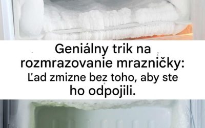 Dômyselná metóda na rozmrazenie mrazničky bez jej odpojenia: rýchlo roztopte ľad a získajte opäť čistý a efektívny spotrebič.