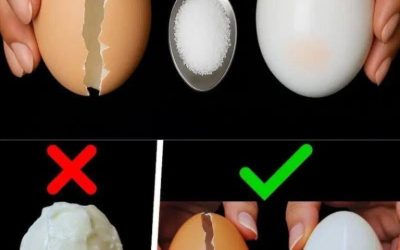 Nevarte vajcia priamo vo vode – takto ich varia v päťhviezdičkových hoteloch!!