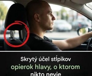 Skryté tyče v opierke hlavy: ich kľúčová úloha vo vašej bezpečnosti