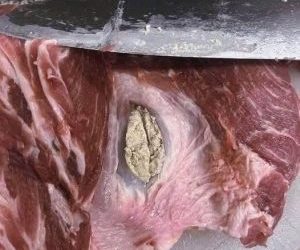 Dnes som si vo Walmarte kúpil bravčovú plec s úmyslom ju pomlieť na recept.