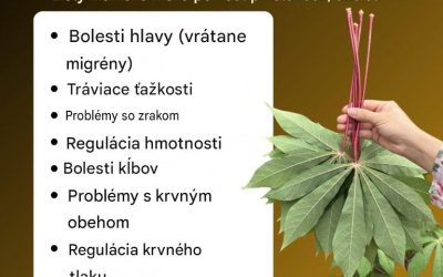 Listy manioku, mali by ste ich použiť týmto spôsobom…v