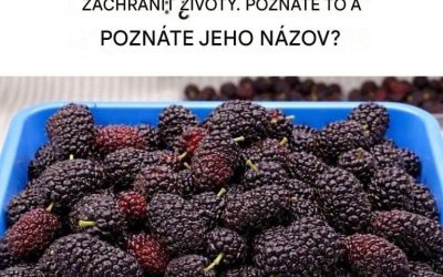 Staroveké ovocie: zachráňte si život, objavte jeho silu