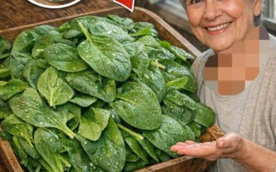 Zabijak baktérií: smrť začína v črevách. Táto rastlina čistí črevá a pečeň. Dám vám recept na jednoduchý postup.