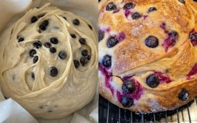 Čučoriedkové muffiny