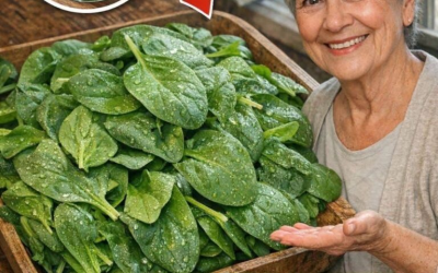 Baktericíd: Smrť začína v črevách. Táto rastlina čistí črevá a pečeň. Dám vám recept výmenou za jednoduchý súhlas