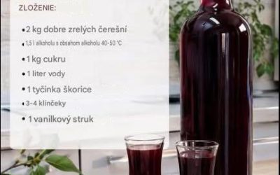 Urobila som 2 kg vína, vhodné na rodinné jedlá! Takže si myslím, že toto je najúspešnejšia vec, čo sa týka prípravy na život. Určite to musíte