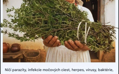 Najsilnejšia rastlina, ktorú mnohí ľudia stále ignorujú