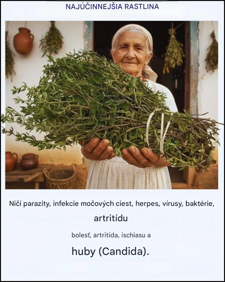 Najsilnejšia rastlina, ktorú mnohí ľudia stále ignorujú
