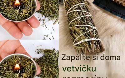 Doma si spáľte 1 vetvičku rozmarínu a uvidíte, čo sa stane po 10 minútach.
