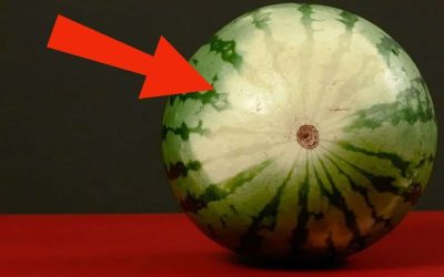Ako na prvý pohľad rozpoznať dokonale zrelý melón