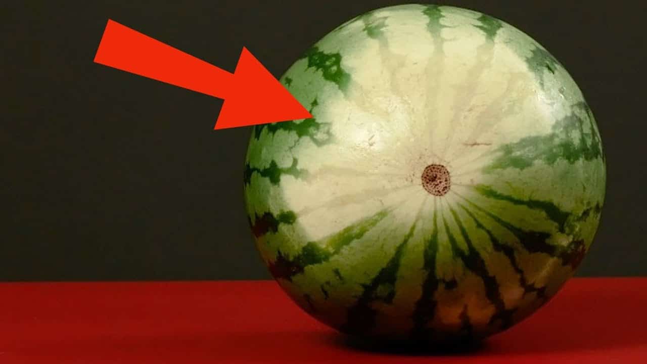 Ako na prvý pohľad rozpoznať dokonale zrelý melón