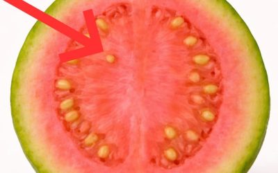 Lekári odhaľujú, že čaj z listov guavy spôsobuje…